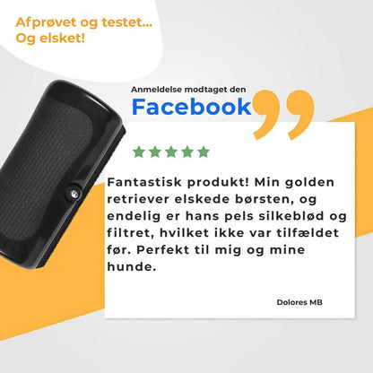 Hundebørste