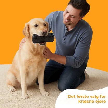 Hundebørste