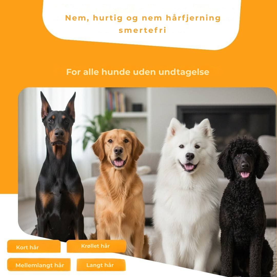 Hundebørste
