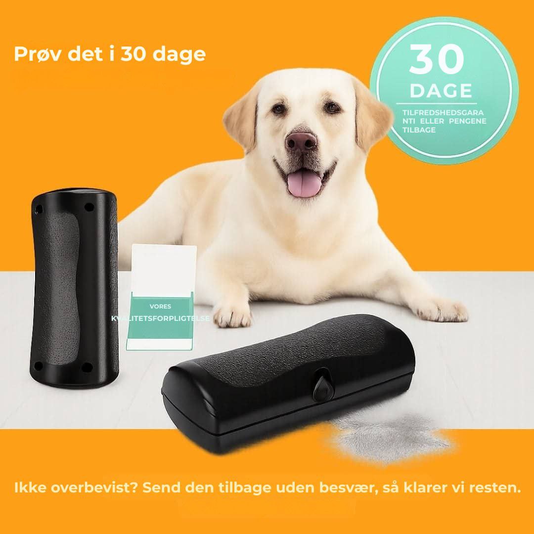 Hundebørste