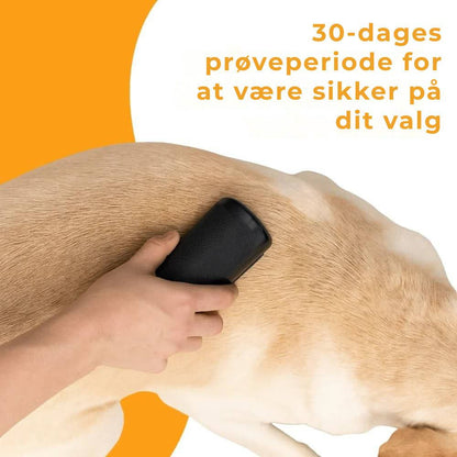 Hundebørste
