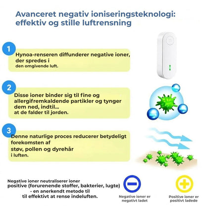 Ionisk renser Anti-Allergener